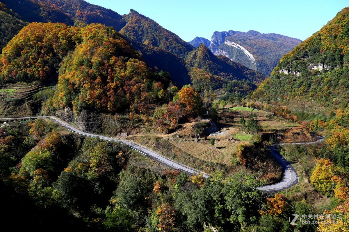 四川米仓山