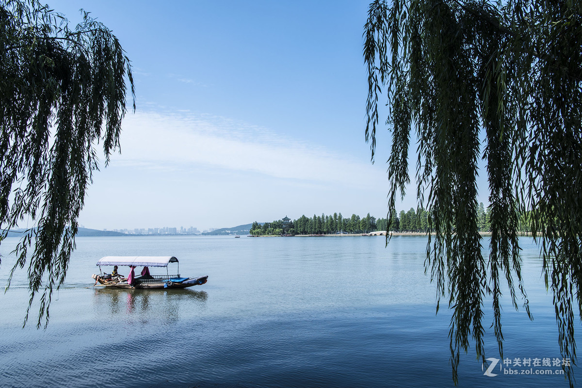 武汉东湖梨园夏日风景