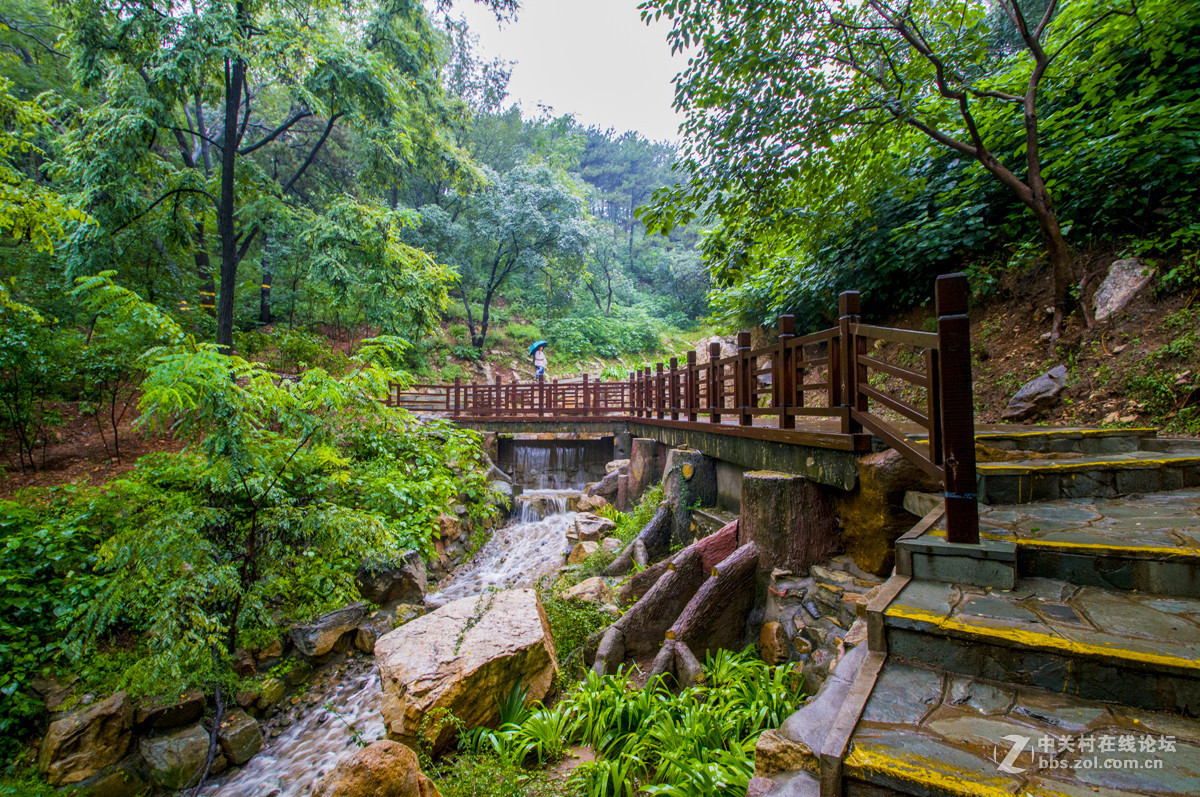 阴雨蒙蒙下的北京西山国家森林公园