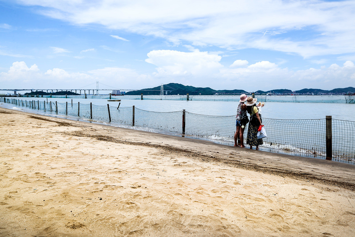 夏日南沙滨海湿地公园