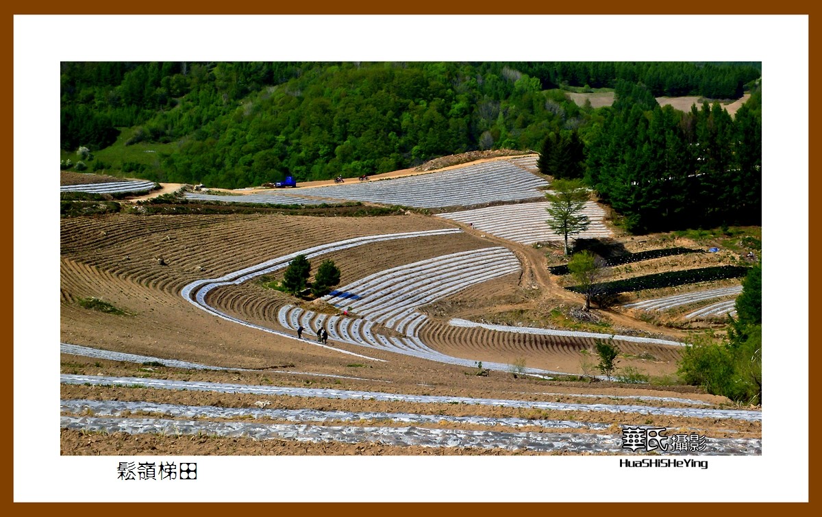 魅力东北初夏游雪村松岭梯田