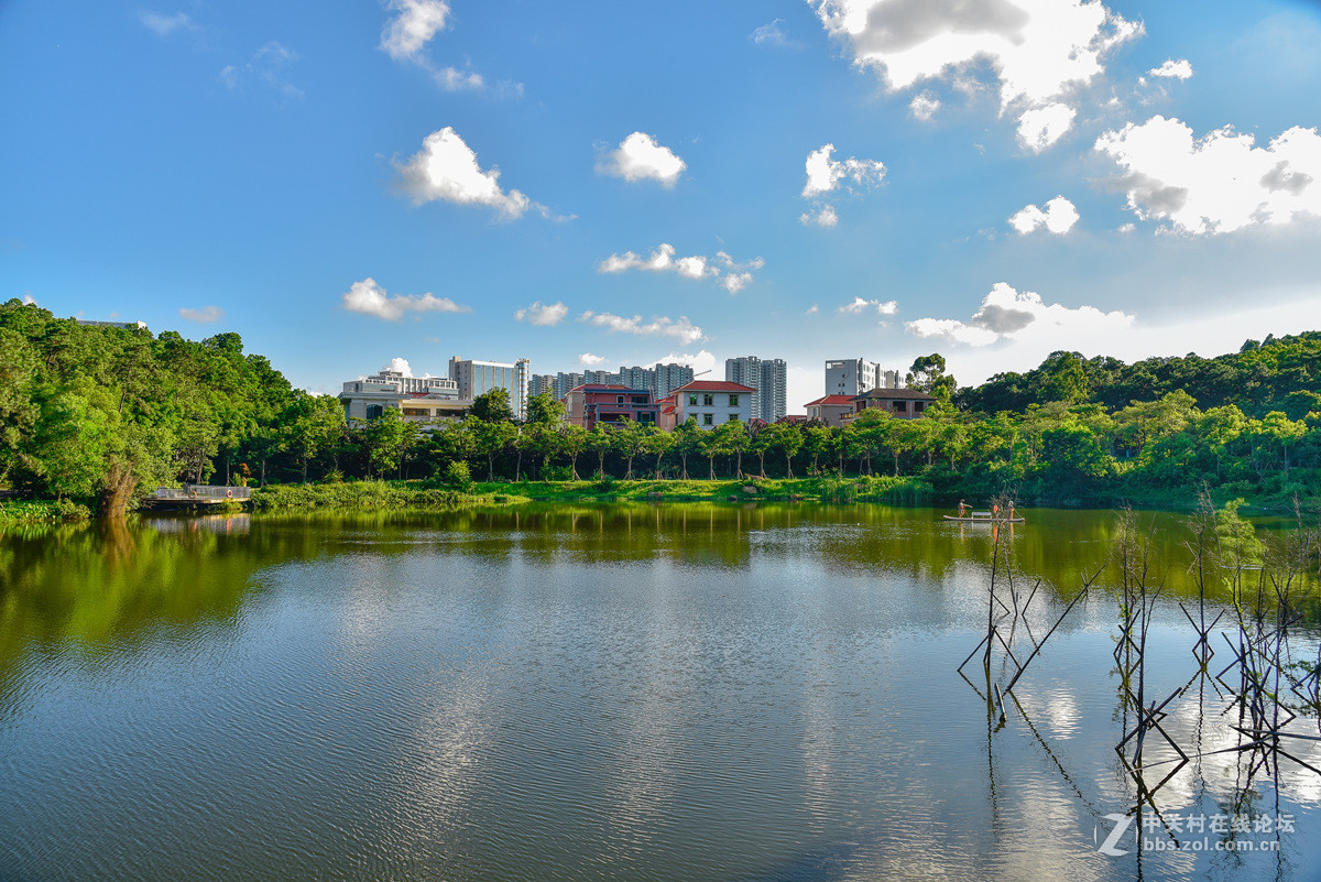阳江金山公园中珠在水一方小景