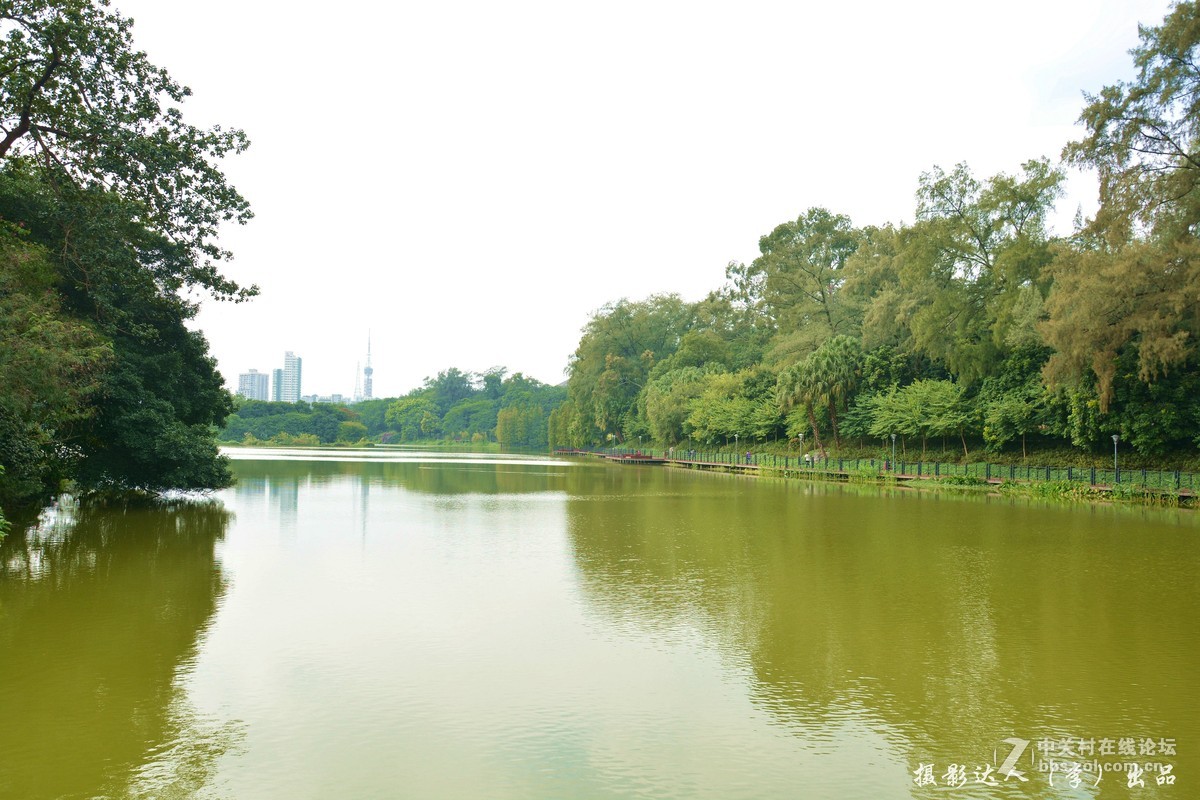 广州麓湖公园