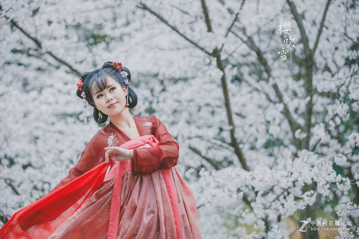 樱吹雪