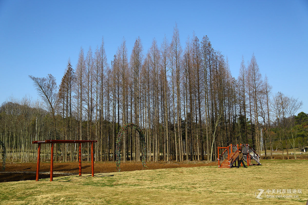 南京平山森林公园