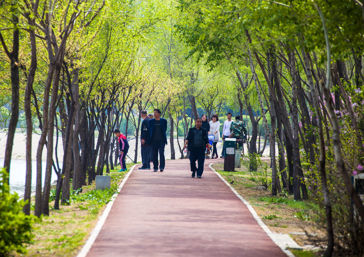 河堤路