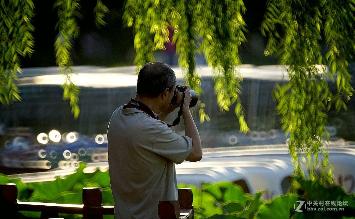 晨光下的摄影人与花以500折返镜头拍摄