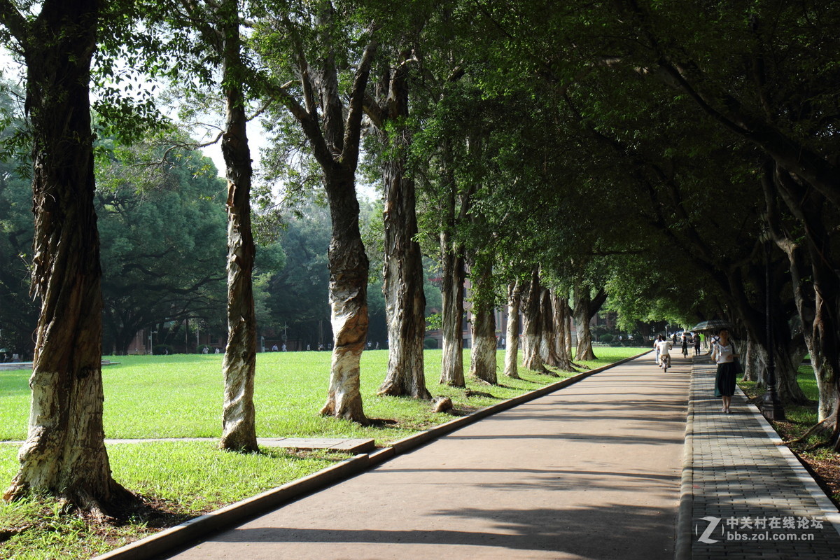 中山大学风景