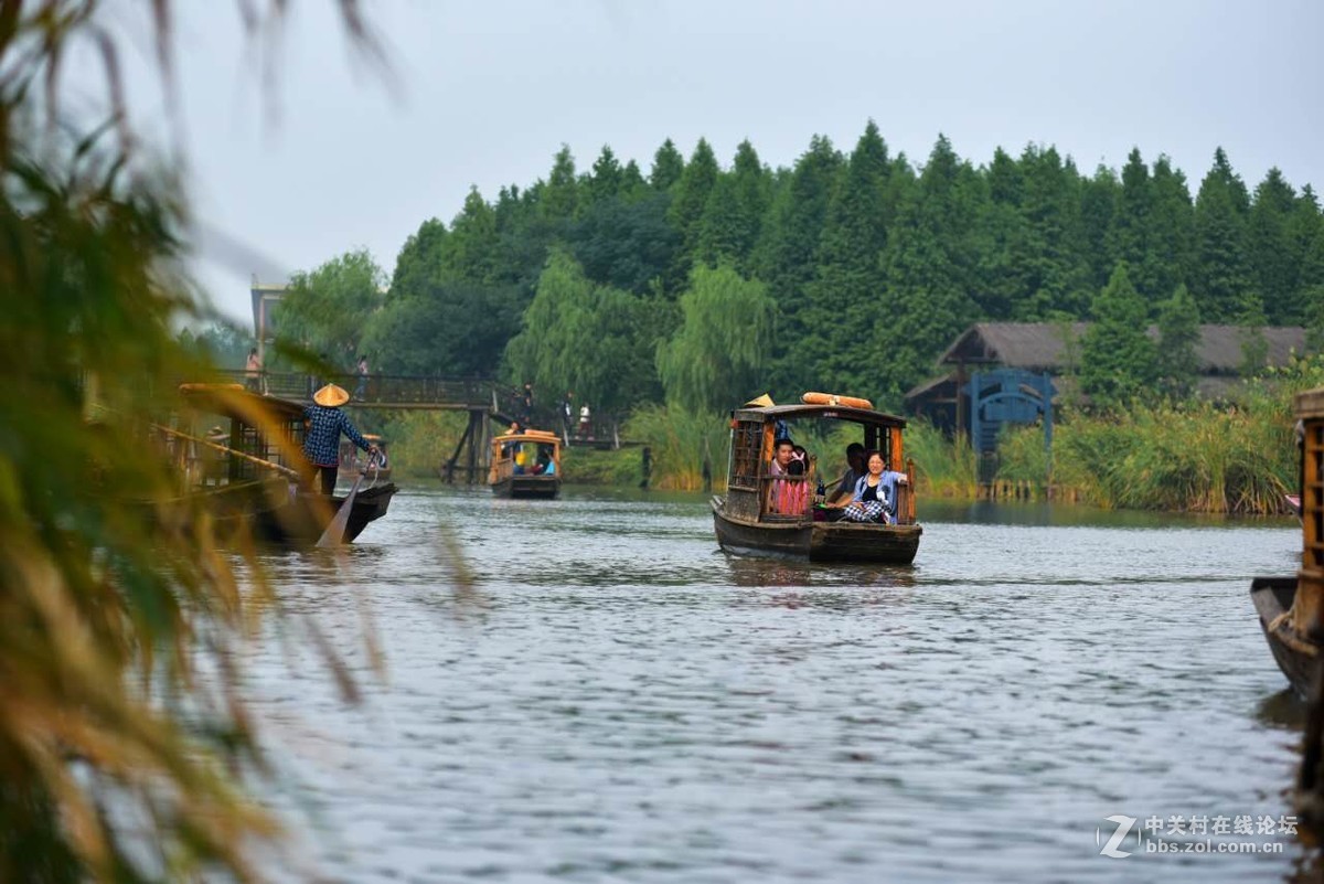 桨声中的溱湖国家湿地公园-中关村在线摄影论坛