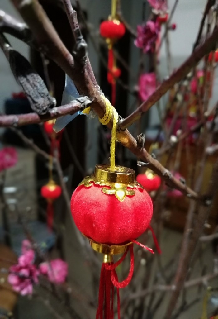 新春桃花艳
