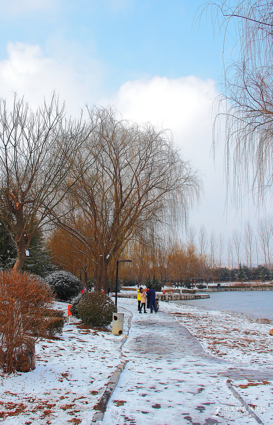 西安市阎良公园雪景