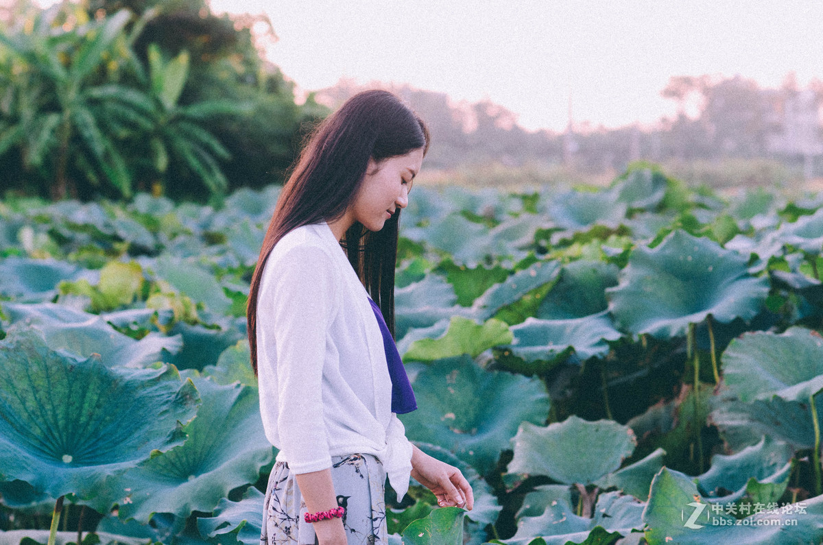 荷花女