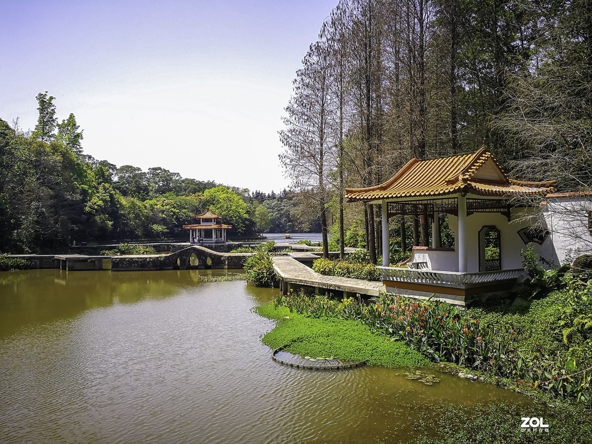 深圳仙湖植物园掠影