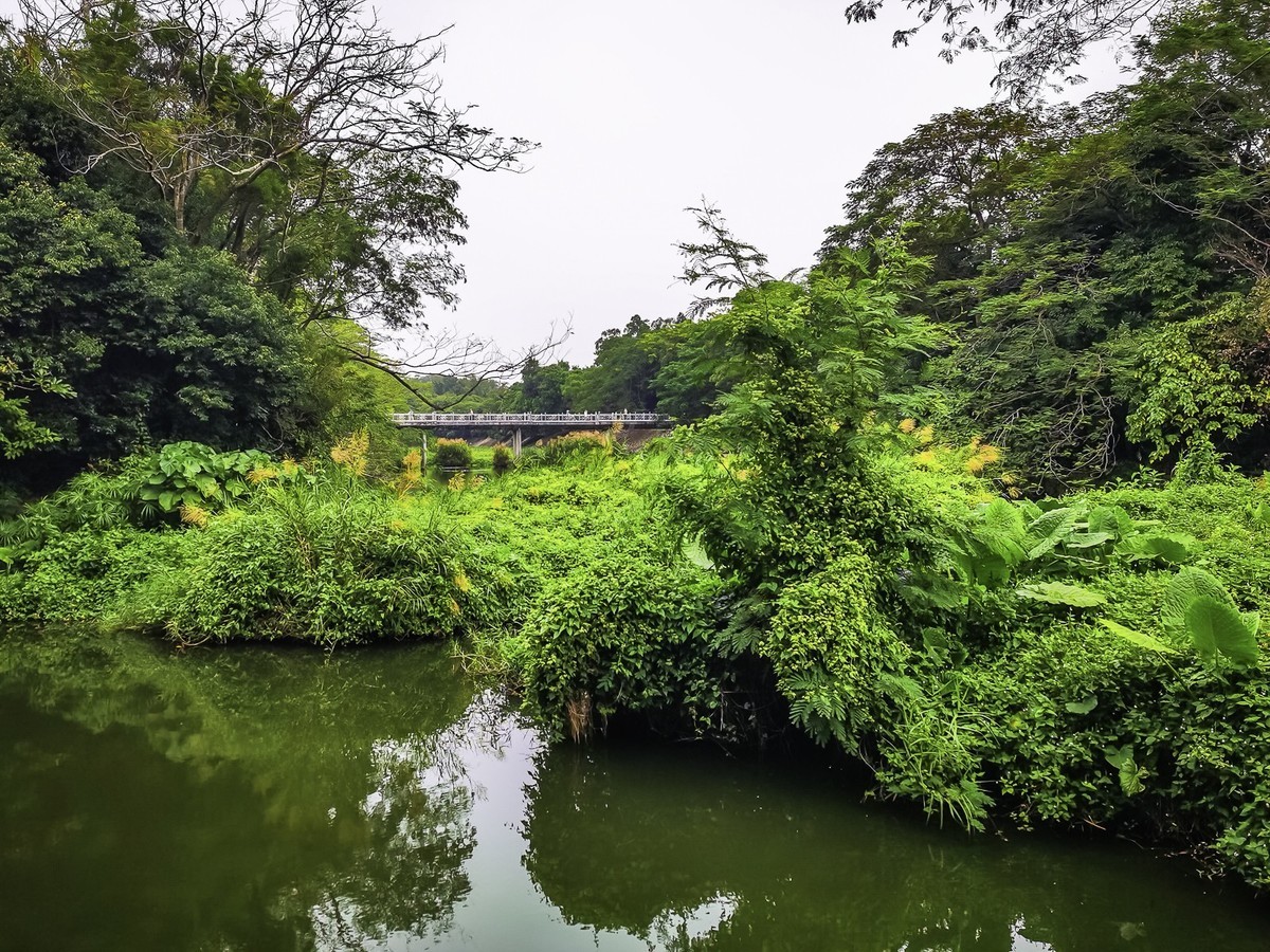 深圳东湖公园掠影