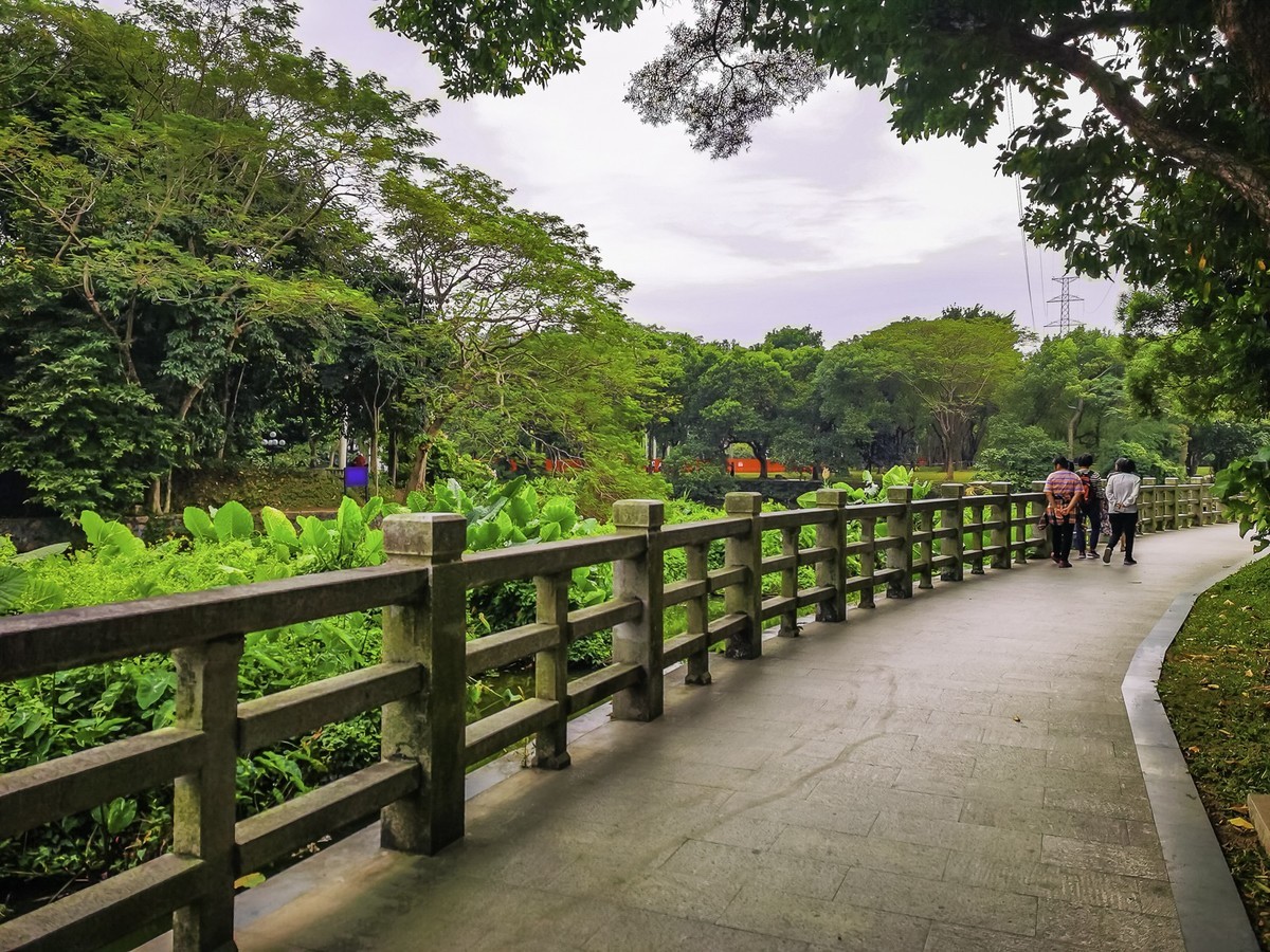 深圳东湖公园掠影