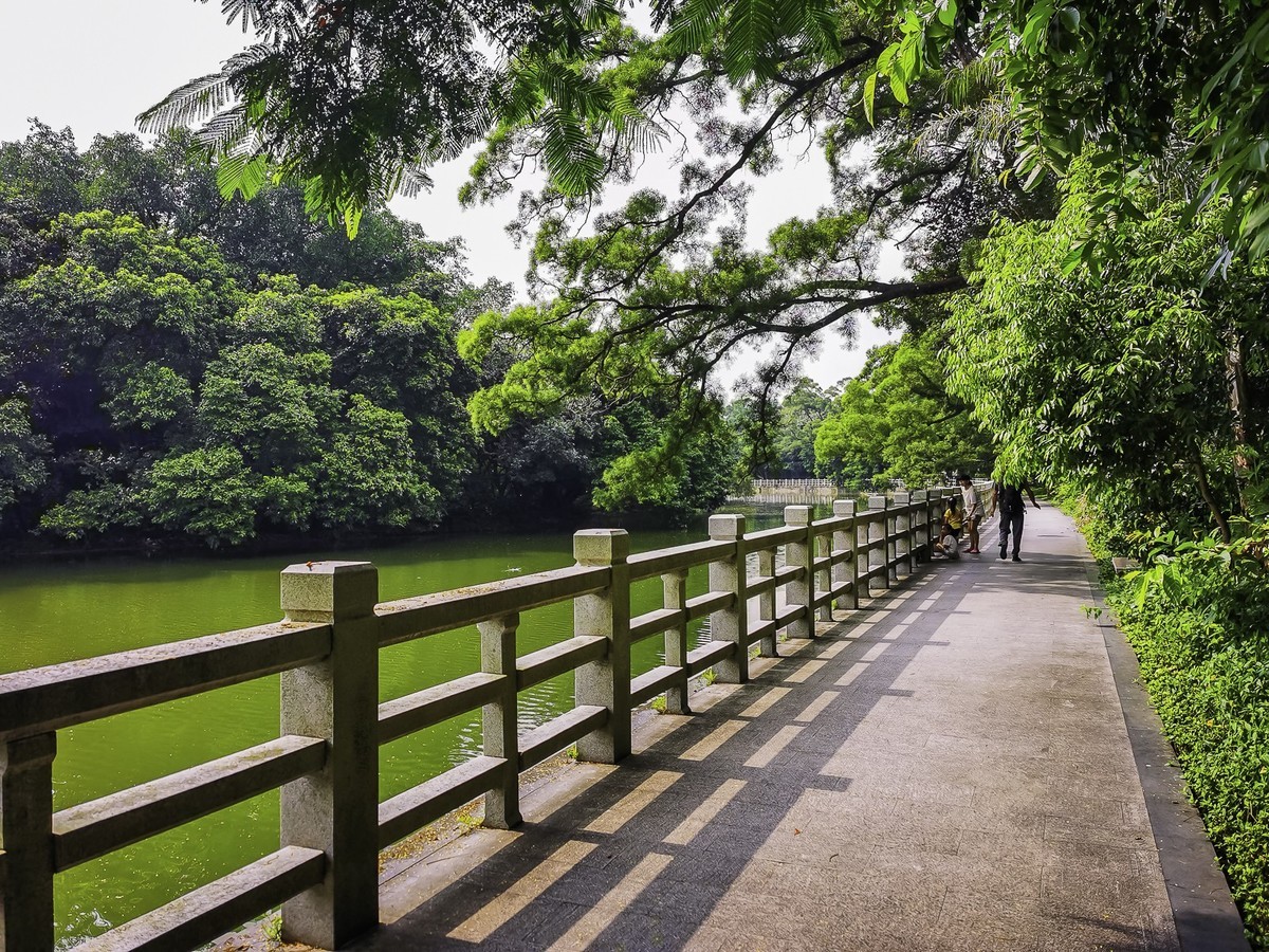 深圳东湖公园掠影