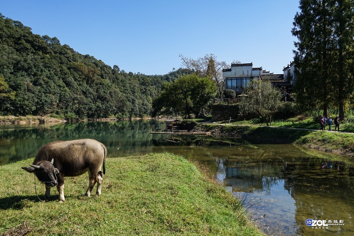 2020婺源漳村四