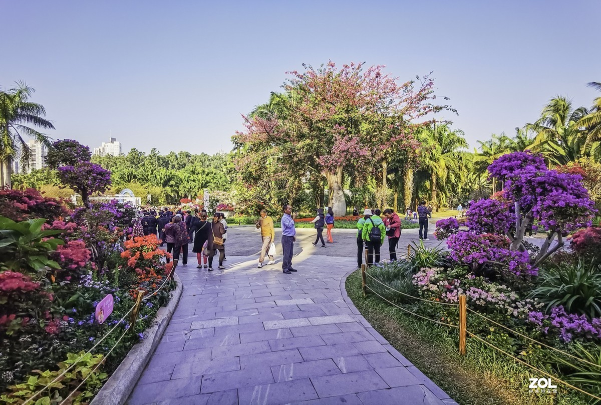 深圳莲花山公园掠影