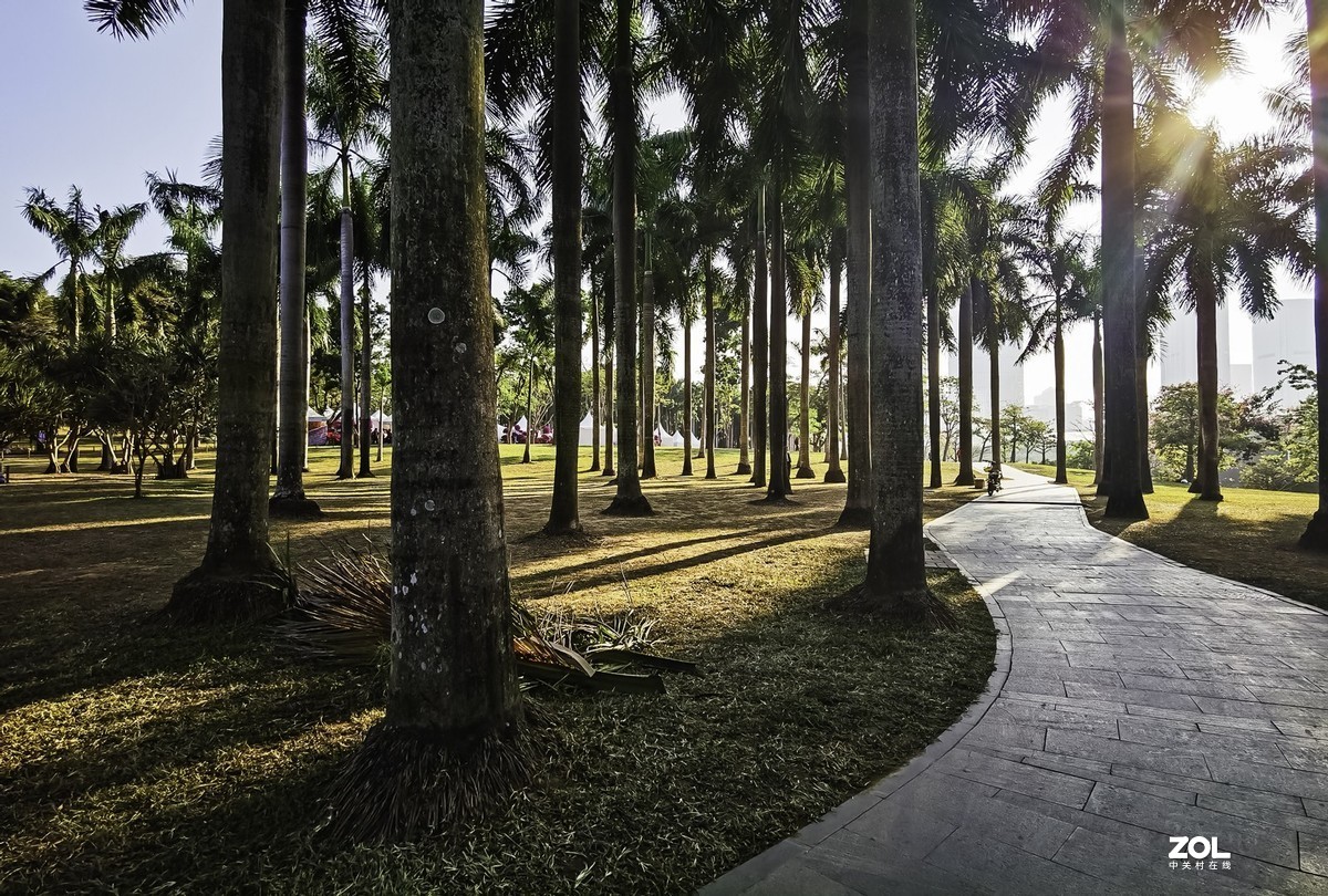 深圳莲花山公园掠影