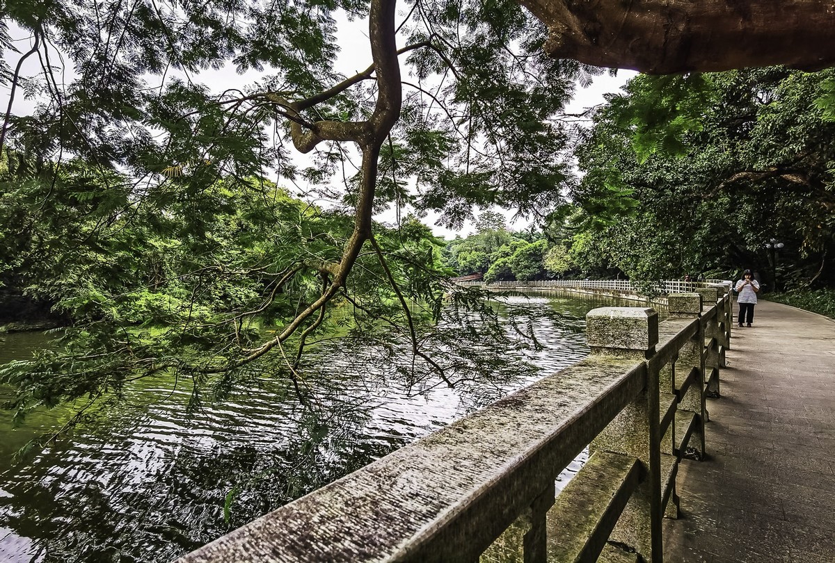 深圳东湖公园掠影