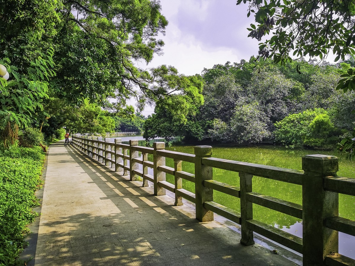 深圳东湖公园掠影