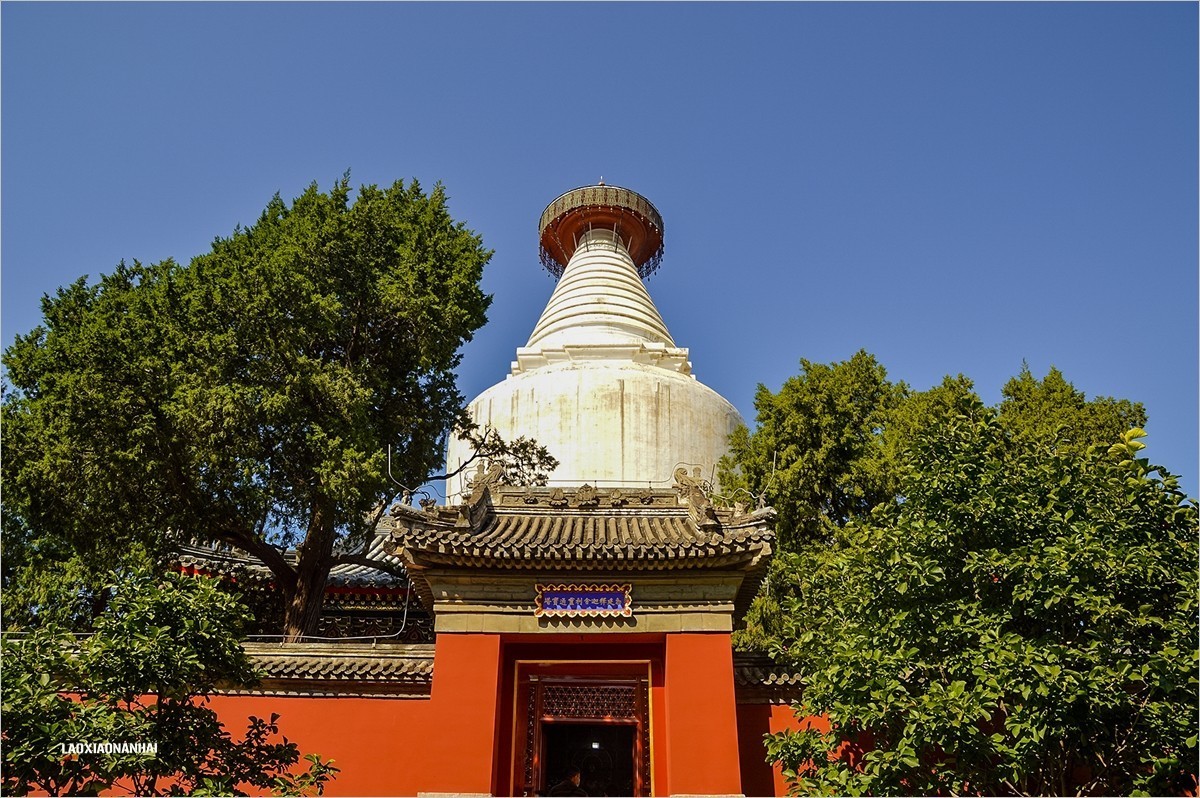 2021年第689贴北京白塔寺游拍41007f