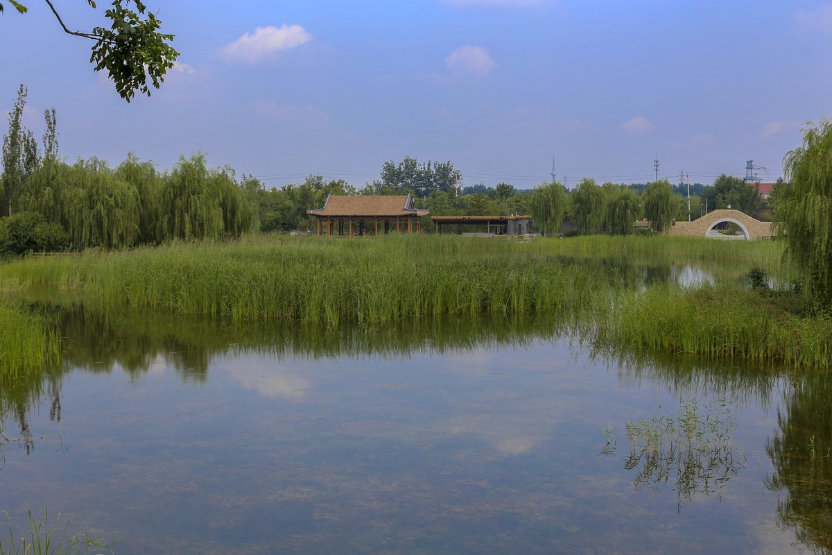 张家湾湿地公园