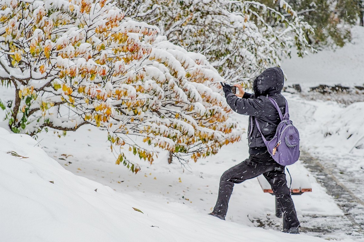 2021北京立冬第一场雪圆明园