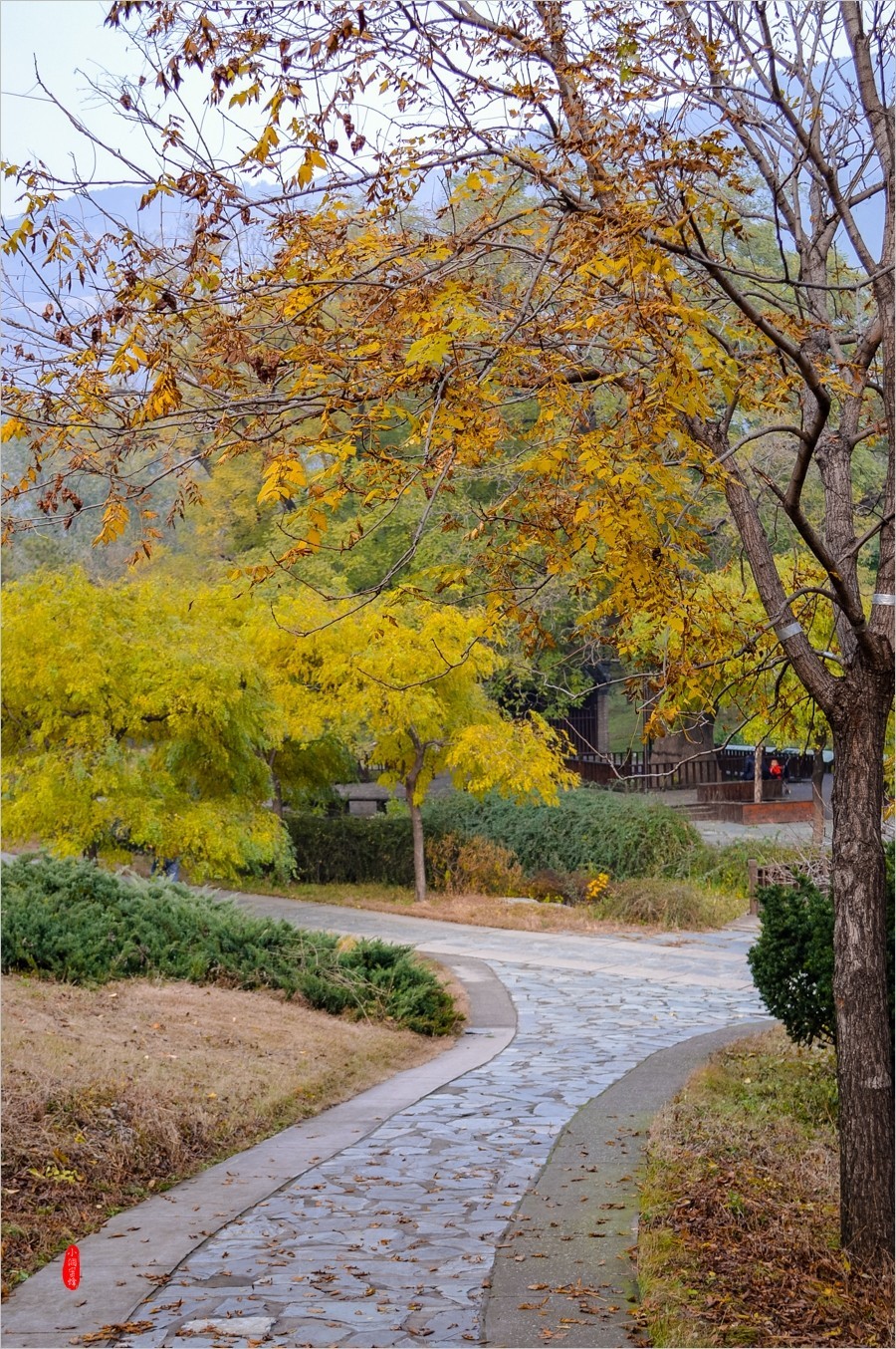 北京植物园游拍60114f