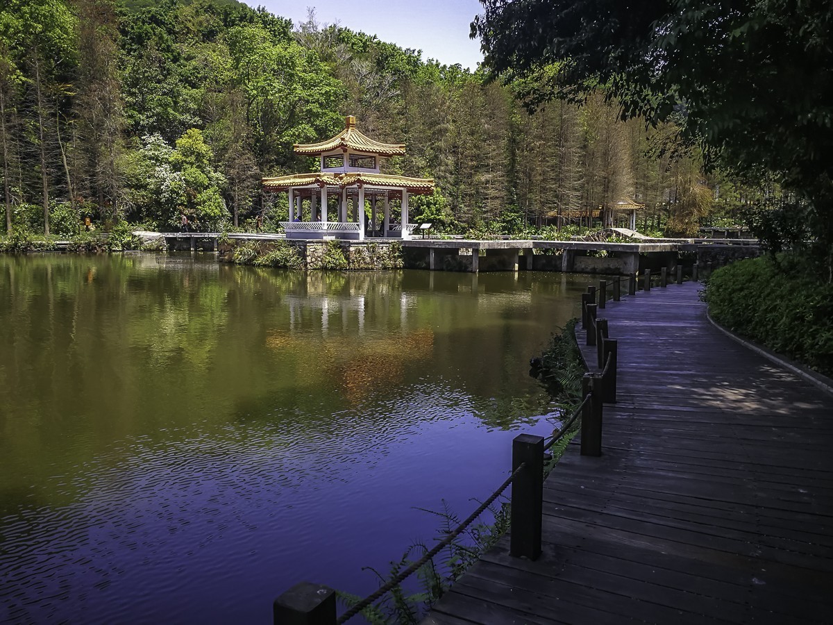 深圳仙湖植物园掠影