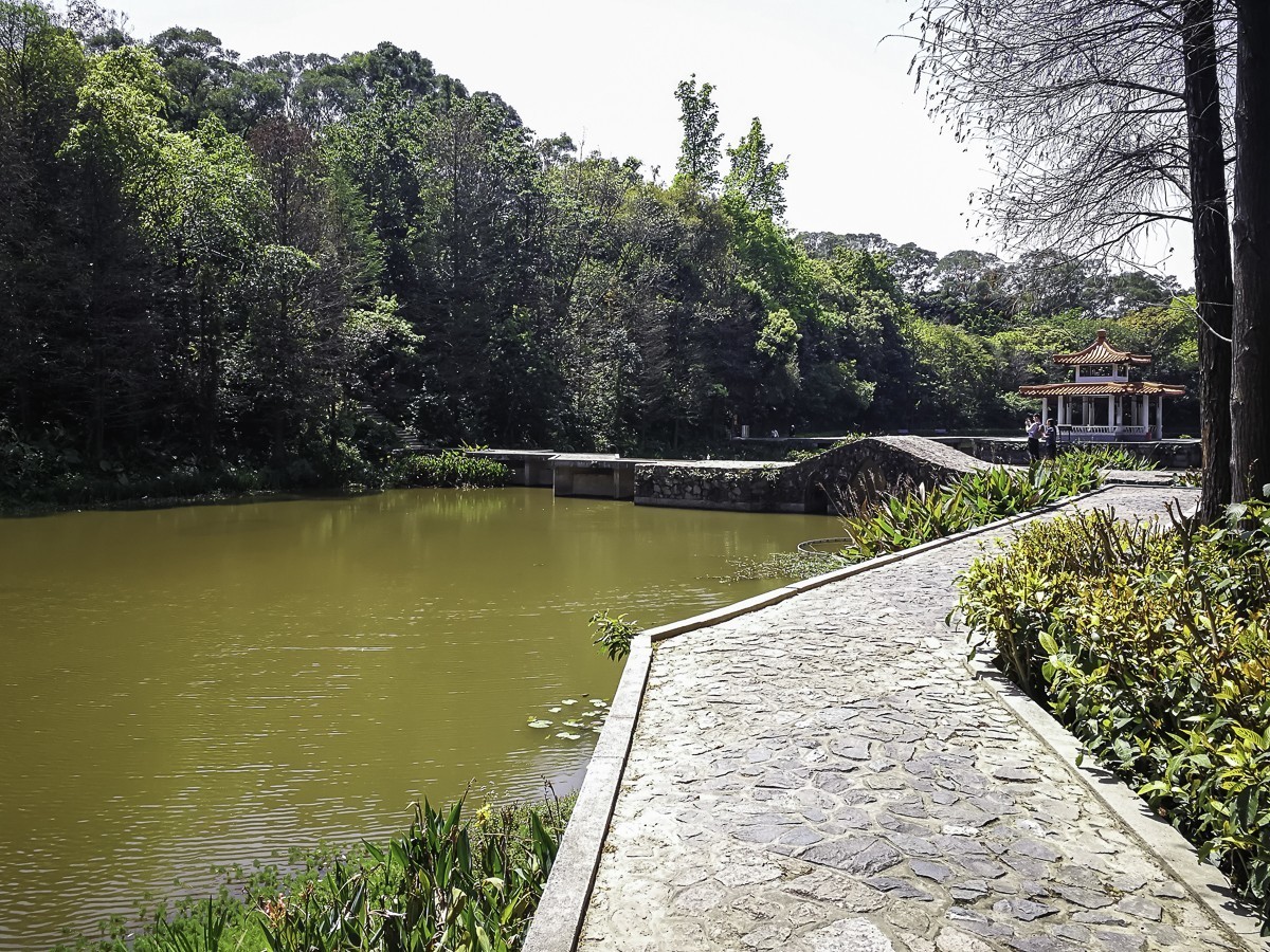 深圳仙湖植物园掠影