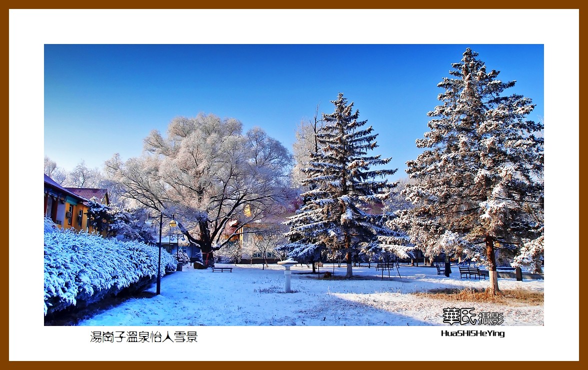 我爱家乡汤岗子温泉怡人雪景鞍山市汤岗子镇
