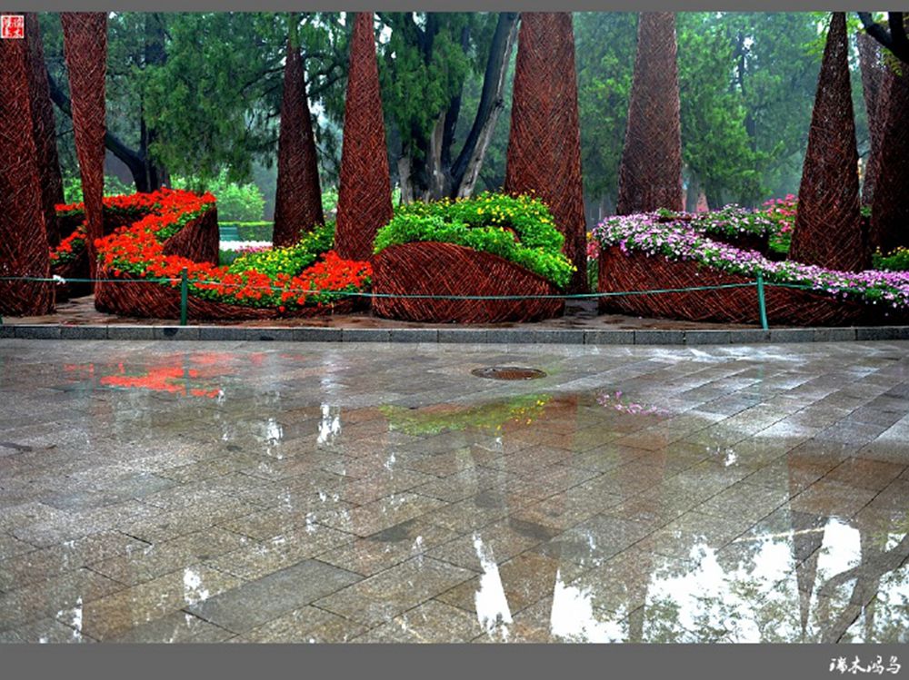 原创摄影中山公园雨中情