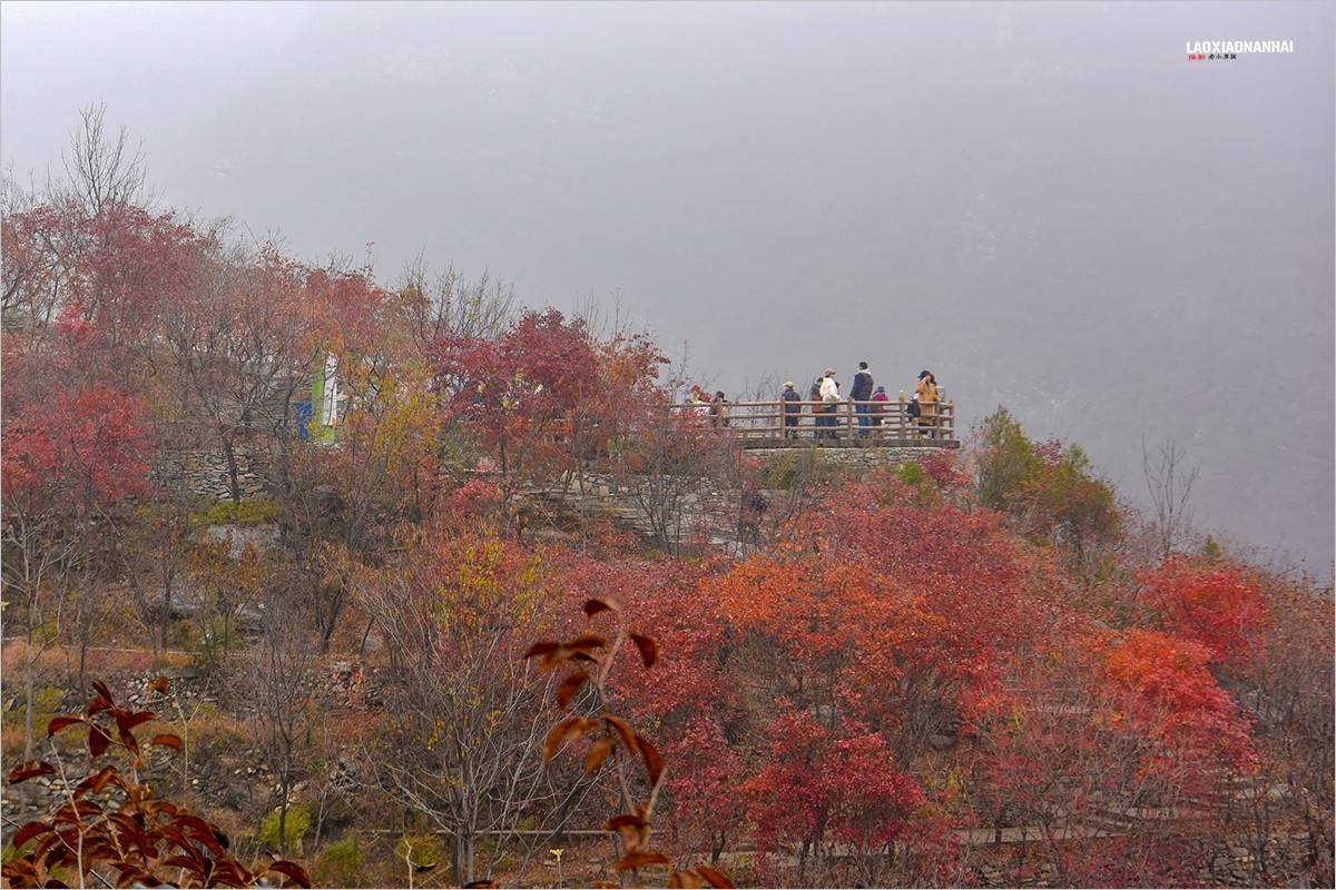 2021年第864贴北京坡峰岭红叶季游拍91222f