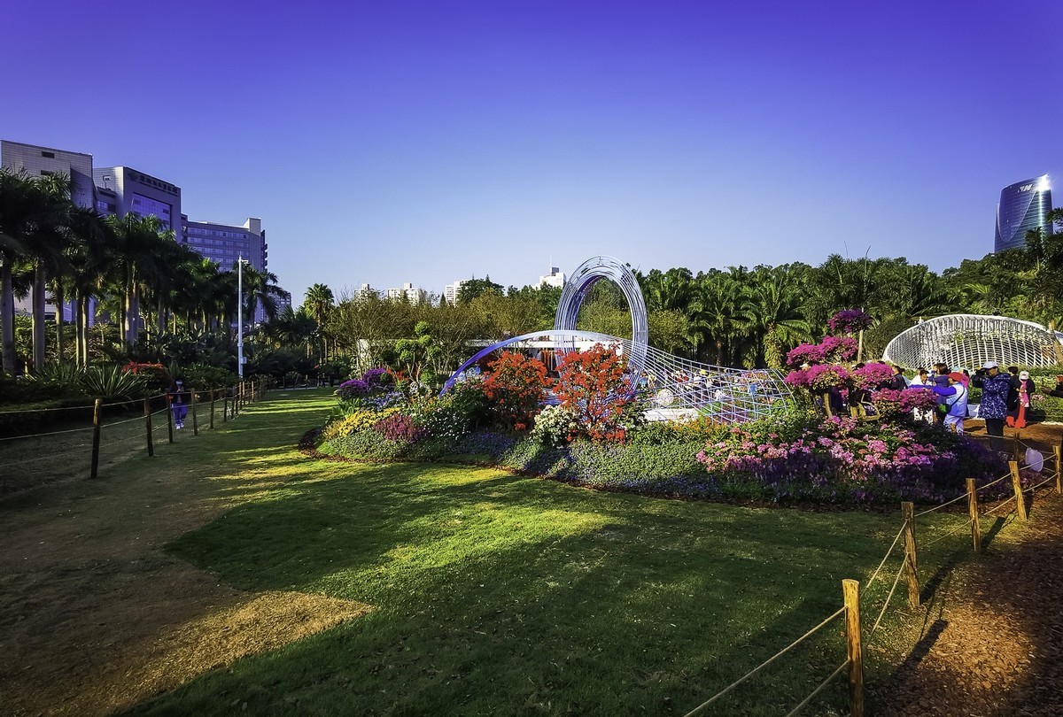 深圳莲花山公园掠影