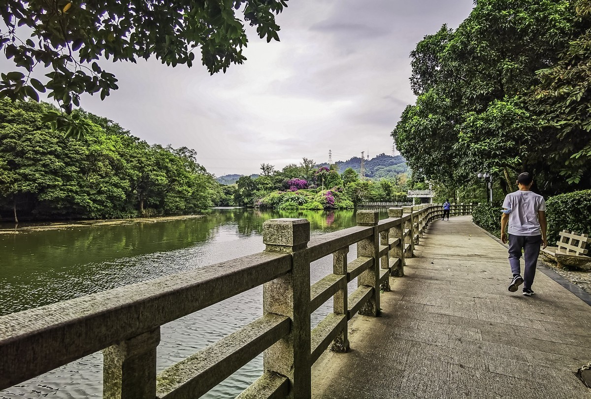 深圳东湖公园掠影