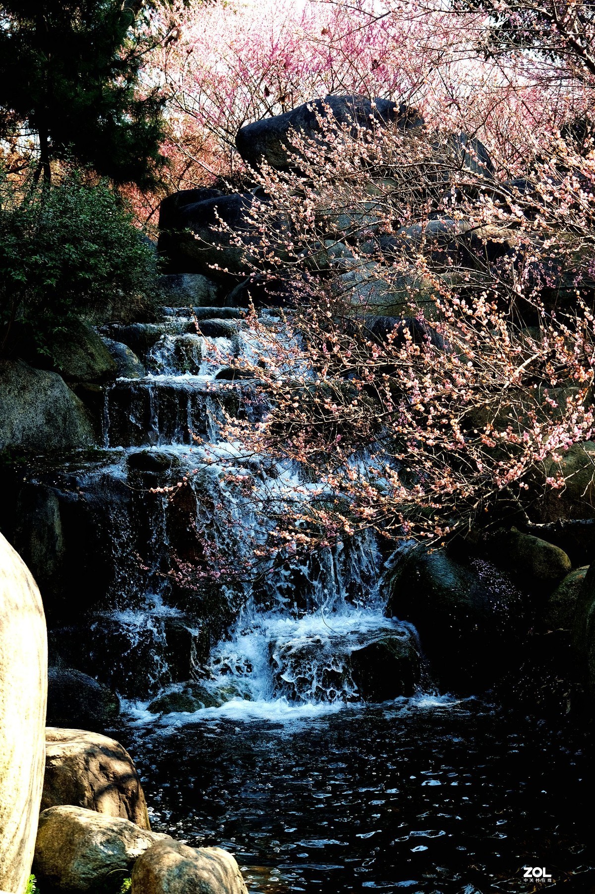 武汉东湖风景区梅花园