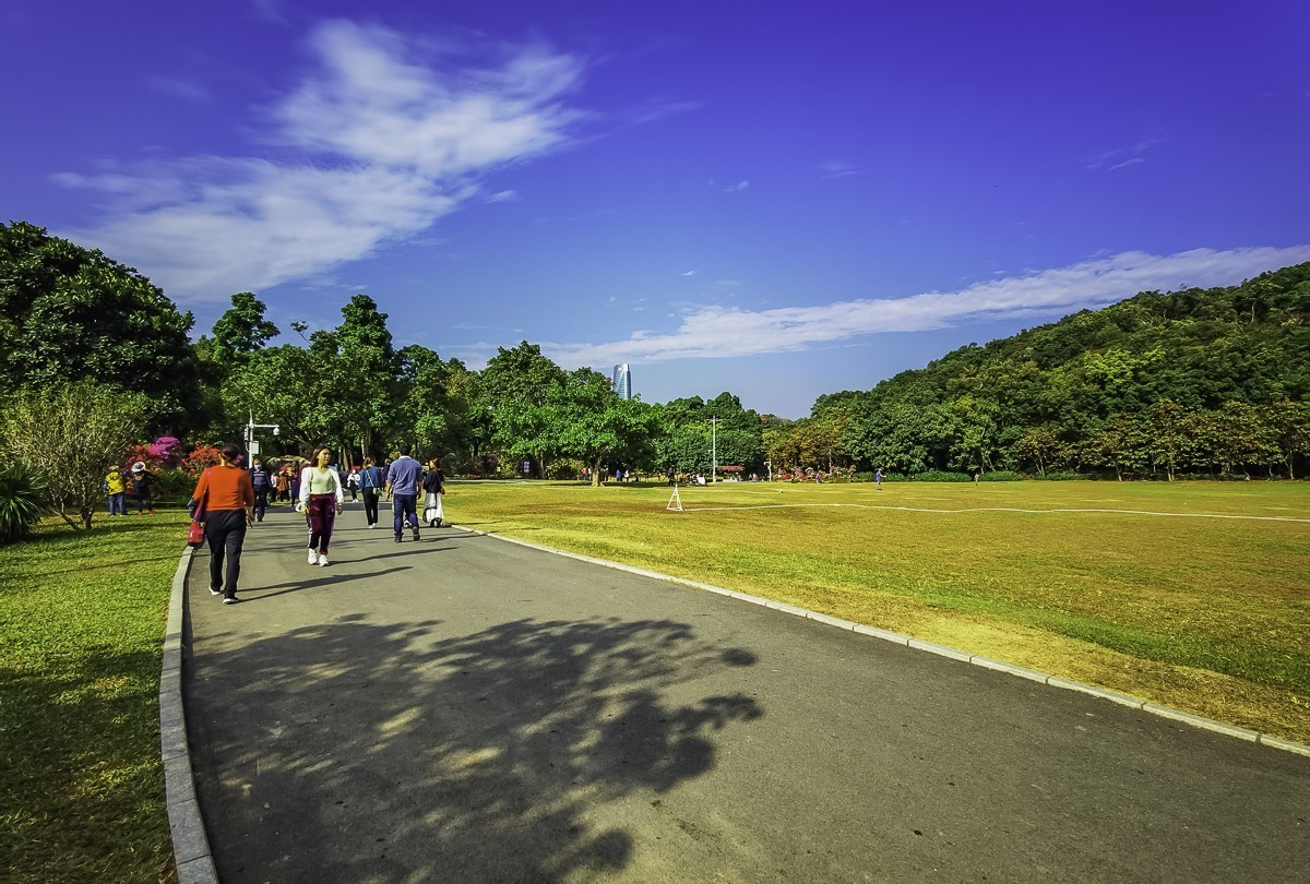 深圳莲花山公园掠影