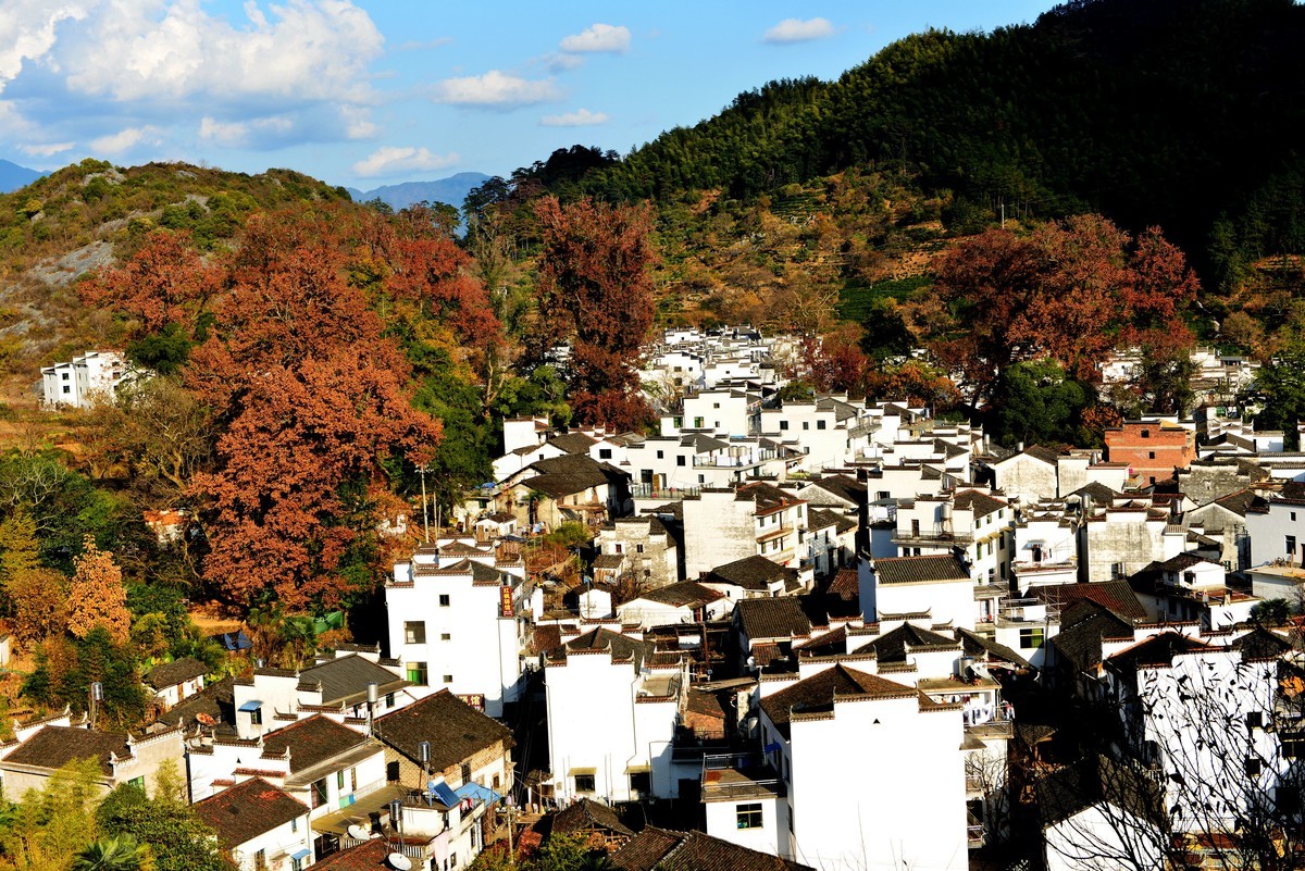 江西婺源石城乡村秋景风光