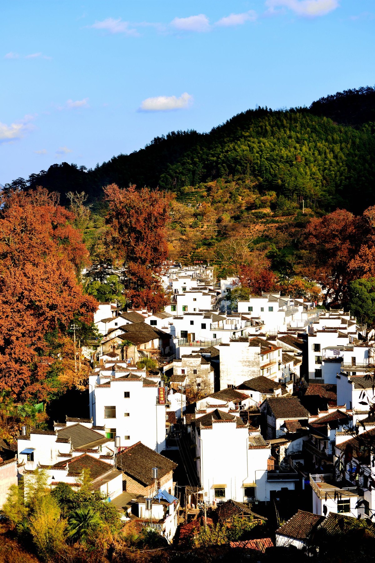 江西婺源石城乡村秋景风光