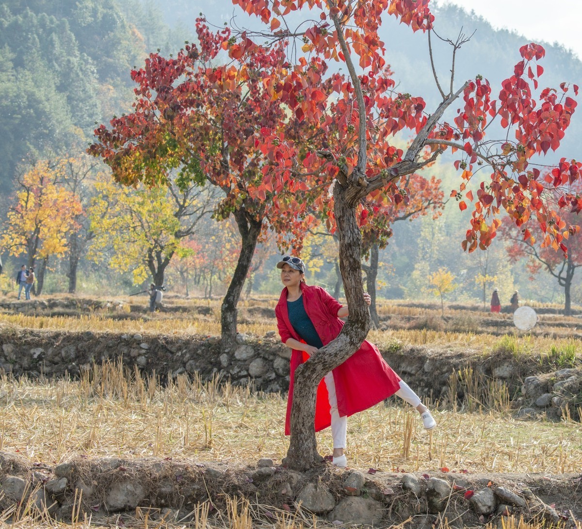 罗田圣人堂村红叶美如画