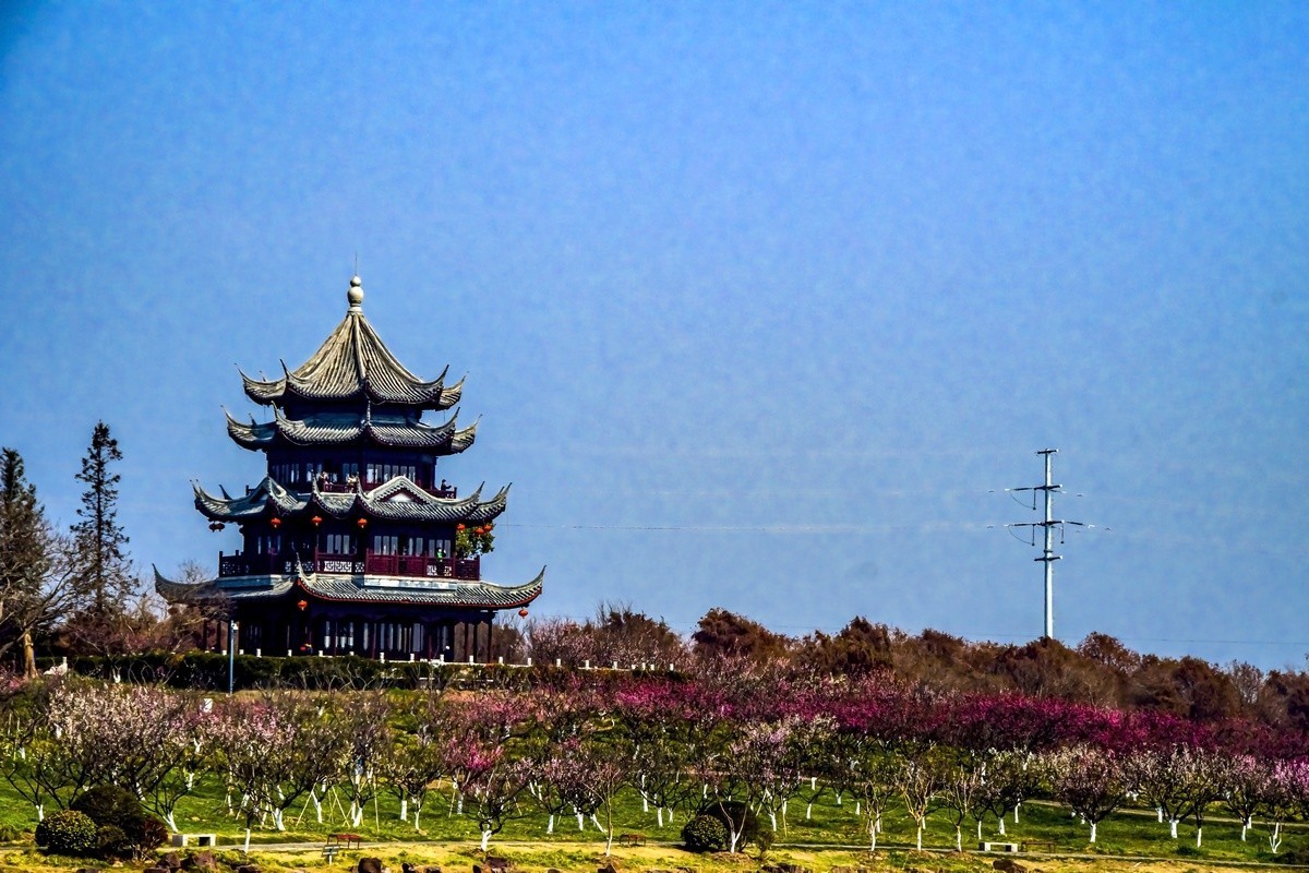 奉贤海湾森林公园