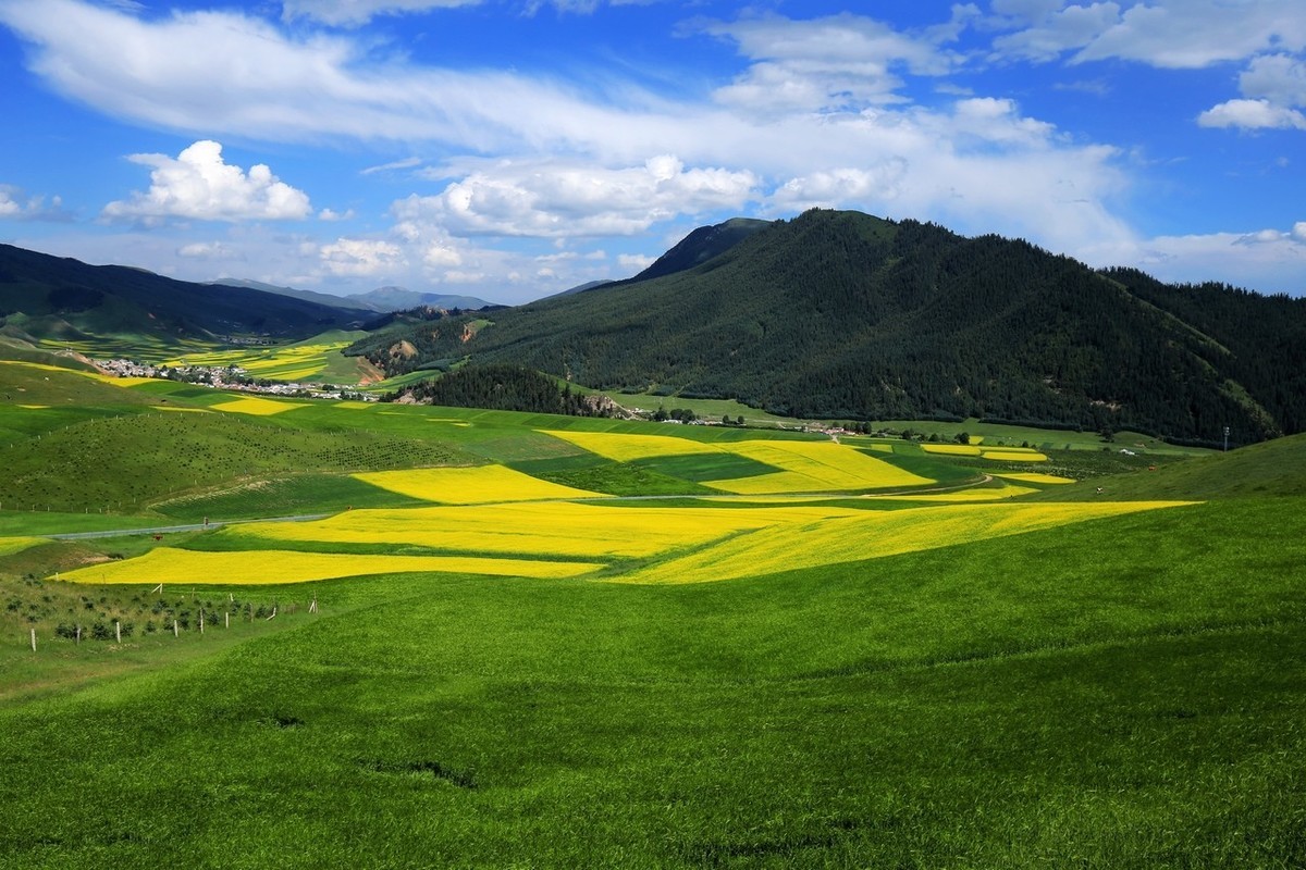 大美青海卓尔山