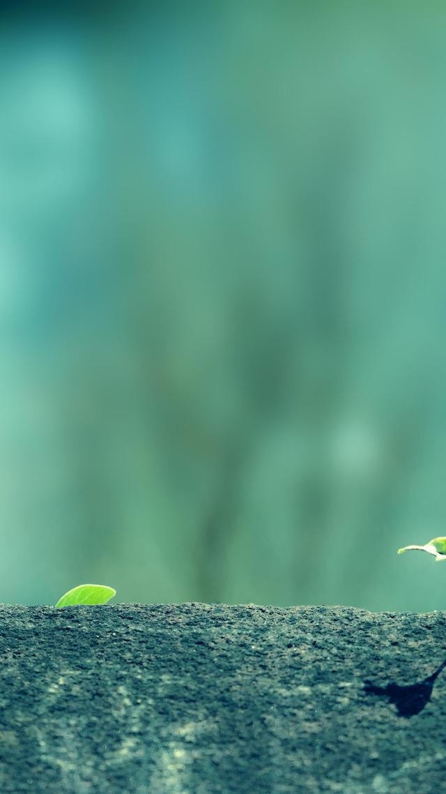 质感壁纸第259集