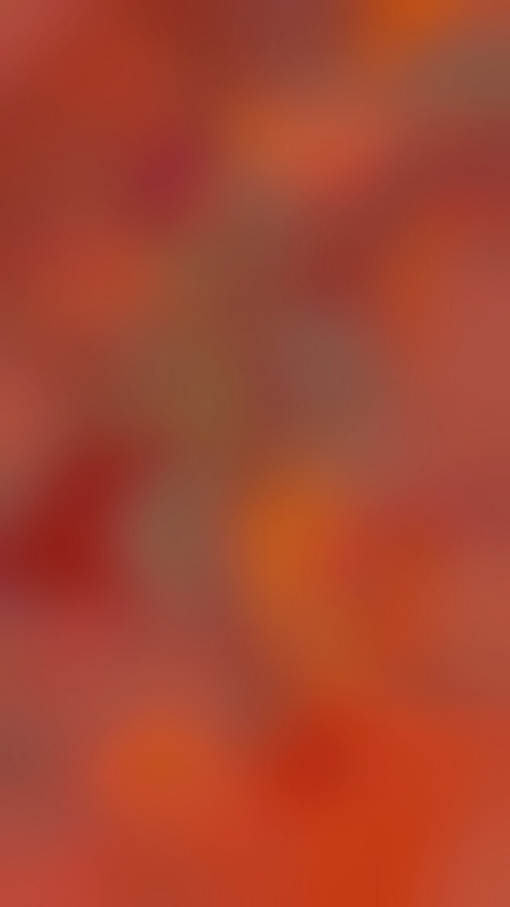 贡献我的禁欲系壁纸省电护眼外加免费版权