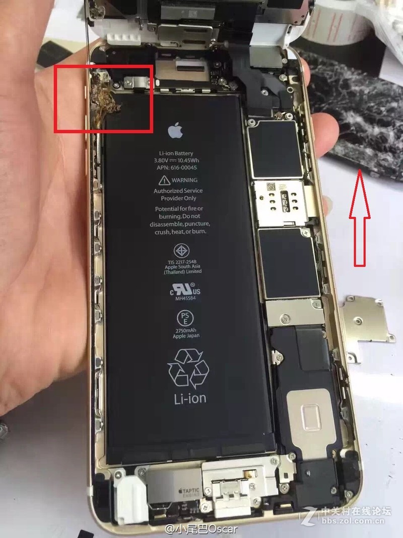 约稿苹果iphone6splus新机异响拆机后发现小强尸体
