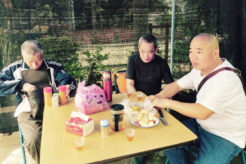 老同学结伴逛同安竹坝村