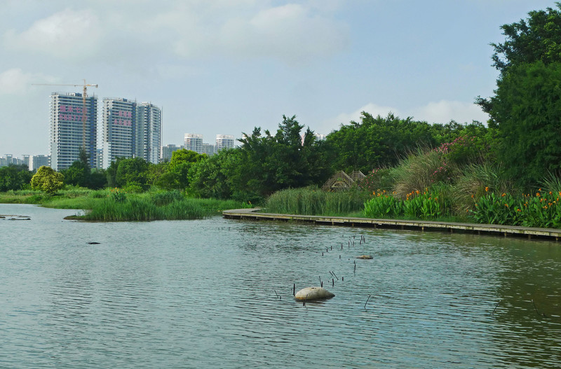 厦门五缘湾湿地公园