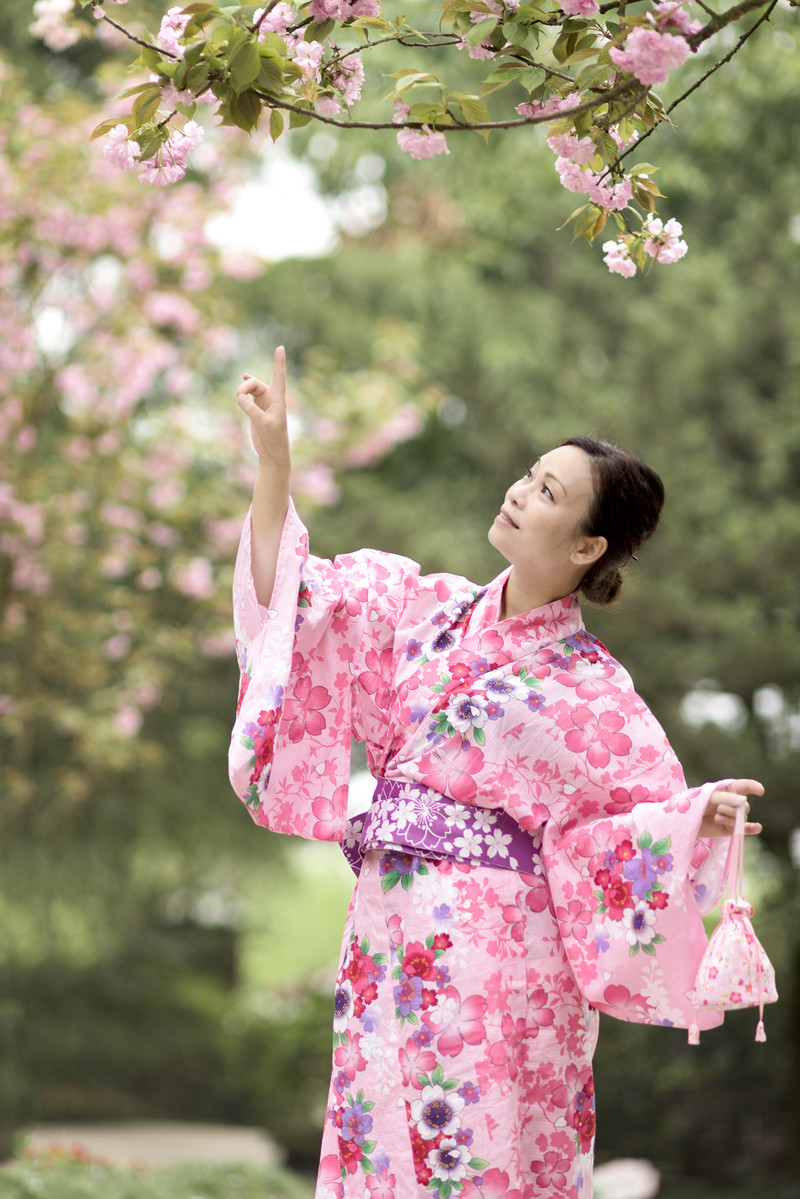 樱花谣