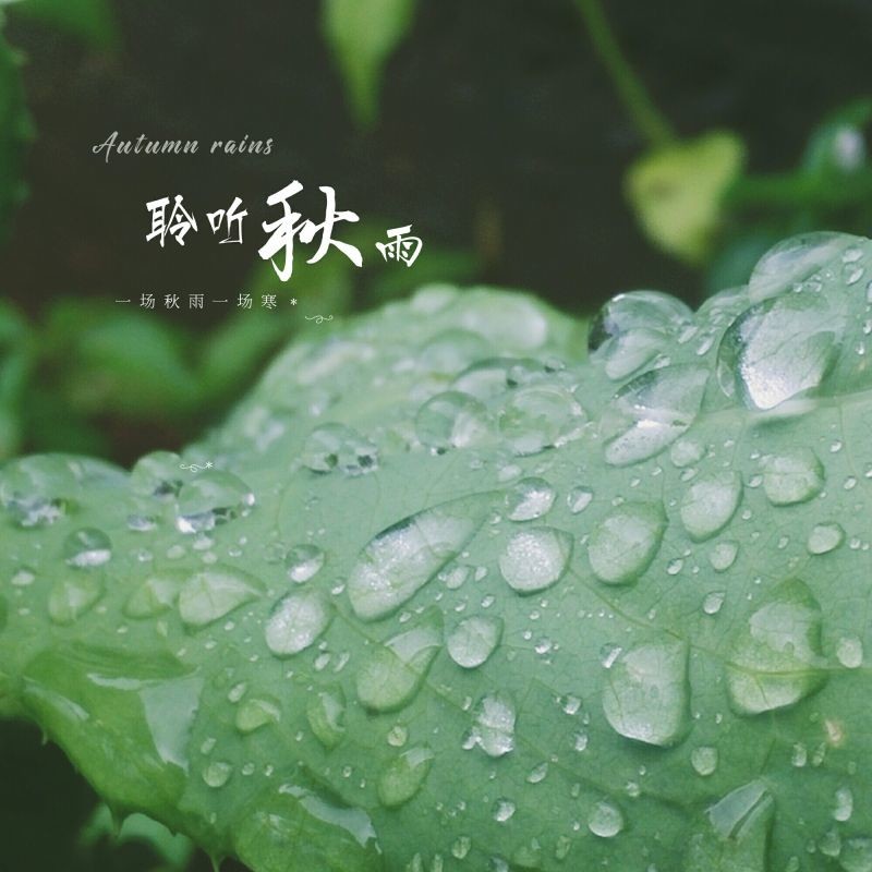 2017立秋后的第一场雨